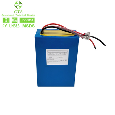 Rechargeable Citycoco Batterie Electric Bicycle Bike Li Ion Lifepo4 Battery 48v 40Ah Ebike Lithium Battery Pack
