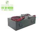 OEM Lithium Ion EV Battery Customized 24V 48V 100Ah 300Ah Deep Cycle