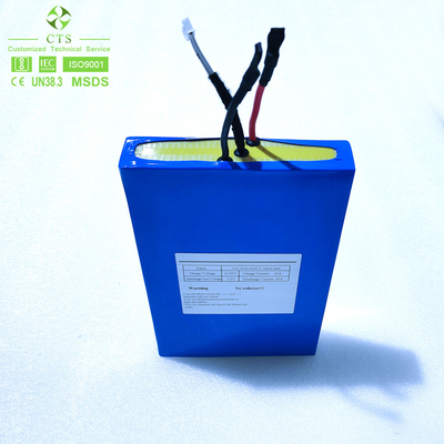 CTS OEM Battery Pack 9.6V 11.1V 40Ah Lithium Ion LiFePO4